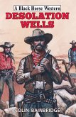 Desolation Wells (eBook, ePUB)