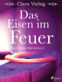 Das Eisen im Feuer (eBook, ePUB) - Viebig, Clara