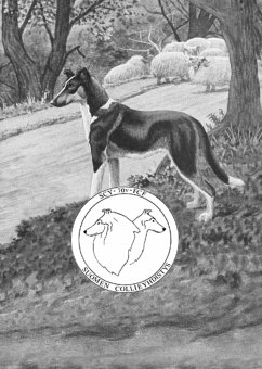 Cover 70-vuotisjuhlajulkaisu