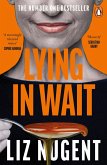 Lying in Wait (eBook, ePUB)