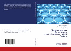 Charge transport mechanism in organic/inorganic hybrid System