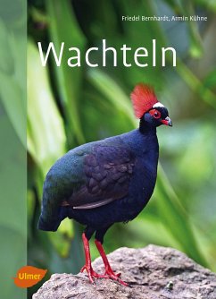 Wachteln (eBook, PDF) - Bernhardt, Friedel; Kühne, Armin