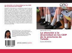 La atención a la diversidad en los CEIP de la provincia de Toledo
