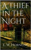 A Thief in the Night (eBook, ePUB)
