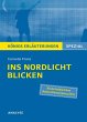 Ins Nordlicht blicken von Cornelia... - Bild 1