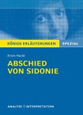 Abschied von Sidonie (eBook, ePUB)