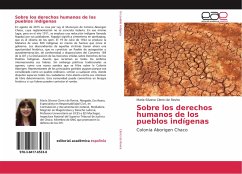 Sobre los derechos humanos de los pueblos indígenas - Clerici de Rovira, María Silvana