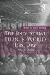 The Industrial Turn in World History - Bild 1
