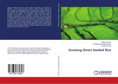 Growing Direct Seeded Rice