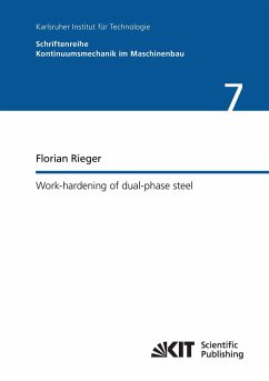 Work-hardening of dual-phase steel - Rieger, Florian