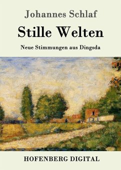 Stille Welten (eBook, ePUB) - Johannes Schlaf