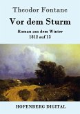 Vor dem Sturm (eBook, ePUB)