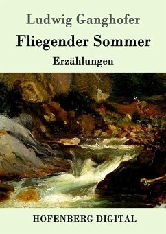 Cover Fliegender Sommer (eBook, ePUB)