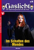 Im Schatten des Mondes (eBook, ePUB)