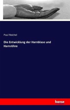 Die Entwicklung der Harnblase und Harnröhre - Reichel, Paul