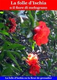 La folle d'Ischia o il fiore di melograno (eBook, ePUB)