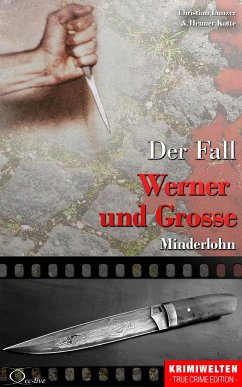 Der Fall Werner und Grosse (eBook, ePUB) - Lunzer, Christian; Kotte, Henner