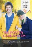 The Foster Care System (eBook, ePUB)