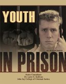 Youth in Prison (eBook, ePUB)