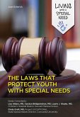 The Laws That Protect Youth with Special Needs (eBook, ePUB)