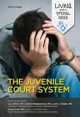 The Juvenile Court System (eBook, ePUB)