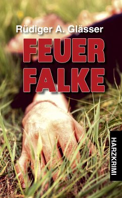 Feuerfalke (eBook, ePUB) - Glässer, Rüdiger A.