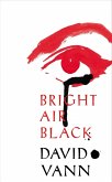Bright Air Black (eBook, ePUB)
