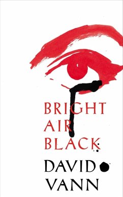 Cover Bright Air Black (eBook, ePUB)