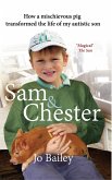 Sam and Chester (eBook, ePUB)