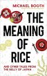 The Meaning of Rice (eBook, ePUB) - Bild 1