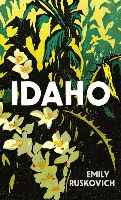 Cover Idaho (eBook, ePUB)