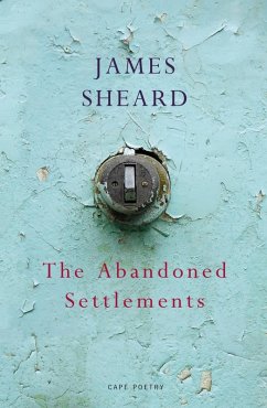 The Abandoned Settlements (eBook, ePUB) - Sheard, James