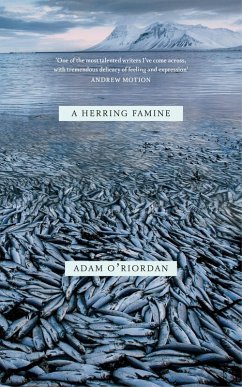A Herring Famine (eBook, ePUB) - O'Riordan, Adam