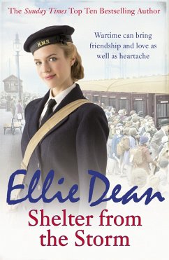 Cover Shelter from the Storm (eBook, ePUB)