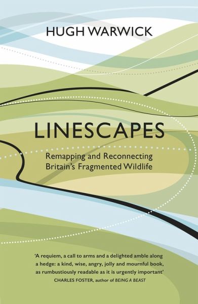 Linescapes (eBook, ePUB)