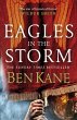 Eagles in the Storm (eBook, ePUB) - Bild 1