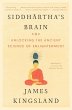 Siddhartha's Brain - Bild 1