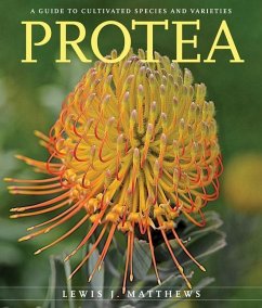 Protea - Matthews, Lewis J.