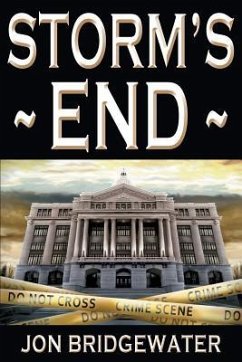 Storm's End: A David Storm Mystery - Bridgewater, Jon