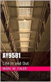 AY9581 Life In and Out (eBook, ePUB)