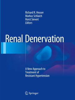 Renal Denervation