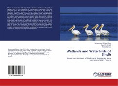 Wetlands and Waterbirds of Sindh