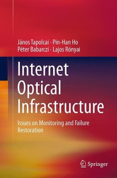 Internet Optical Infrastructure - Tapolcai, János;Ho, Pin-Han;Babarczi, Péter