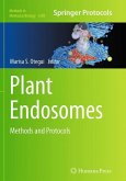 Plant Endosomes