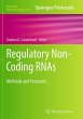 Regulatory Non-Coding RNAs - Bild 1