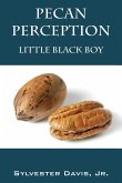 Pecan Perception: Little Black Boy