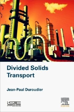 Divided Solids Transport - Duroudier, Jean-Paul