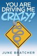 You Are Driving Me Crazy! - Bild 1