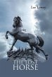 The Lost Horse - Bild 1