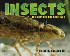 Insects: The Most Fun Bug Book Ever - Collard, Sneed B.
